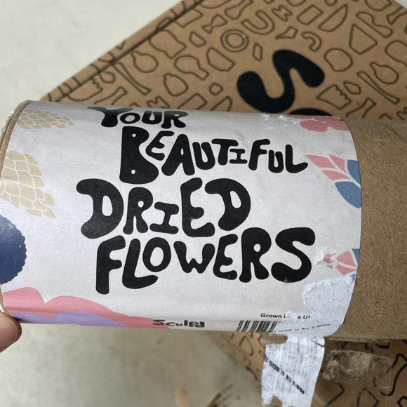 SALE!!! NWT Sculpd Dried Flower Vase Pottery Kit - Picture 9 of 14